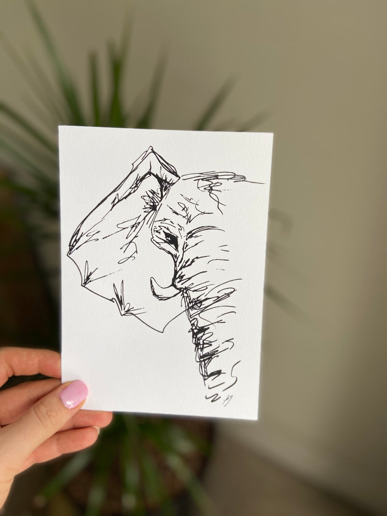 elephant sketch