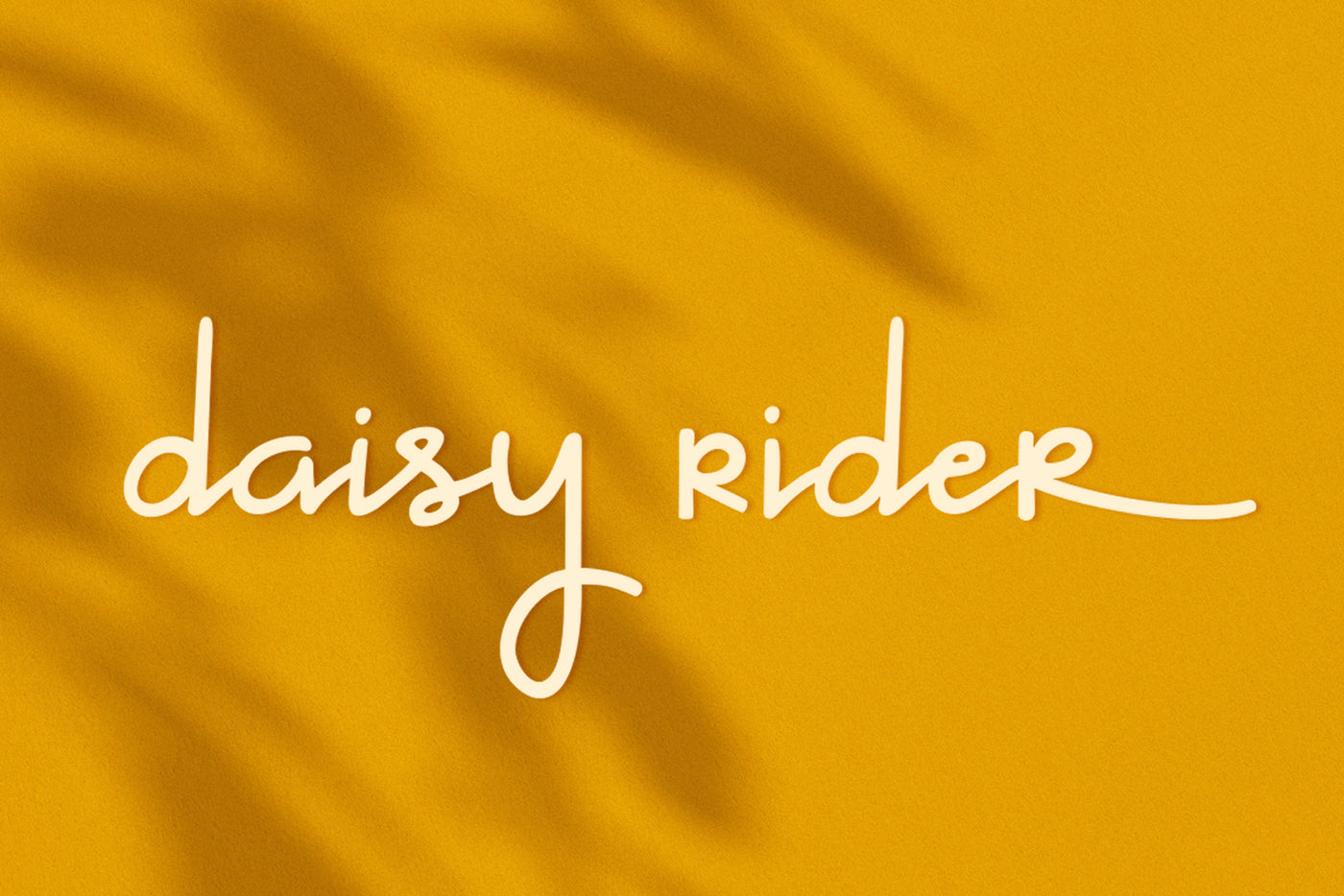 daisy rider