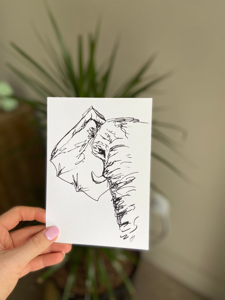 elephant sketch